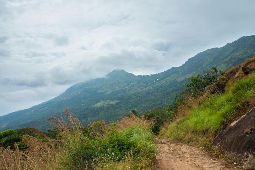 Appartamento Neelakurunji Plantation Munnar Chinnakanal Esterno foto