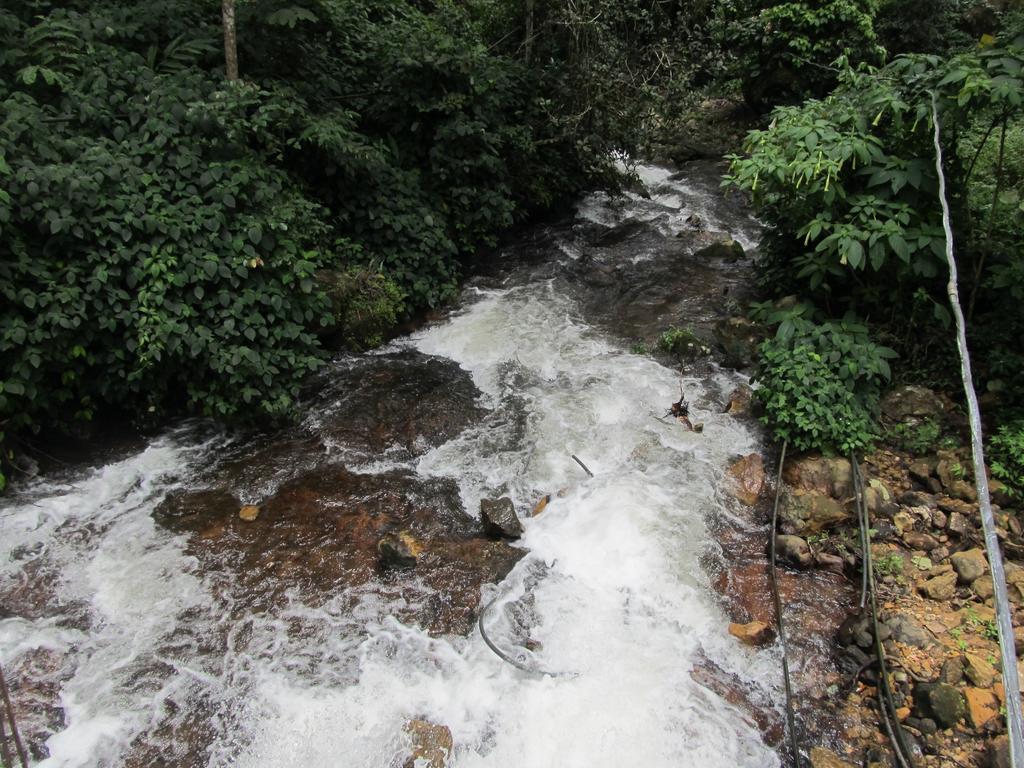 Appartamento Neelakurunji Plantation Munnar Chinnakanal Esterno foto