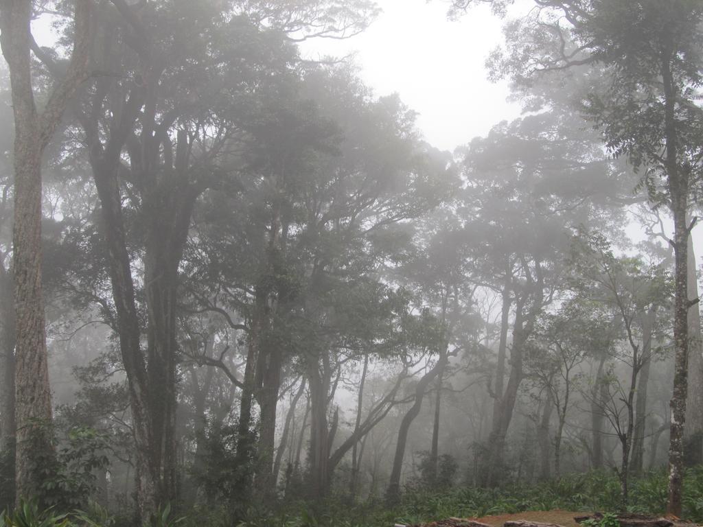 Appartamento Neelakurunji Plantation Munnar Chinnakanal Esterno foto