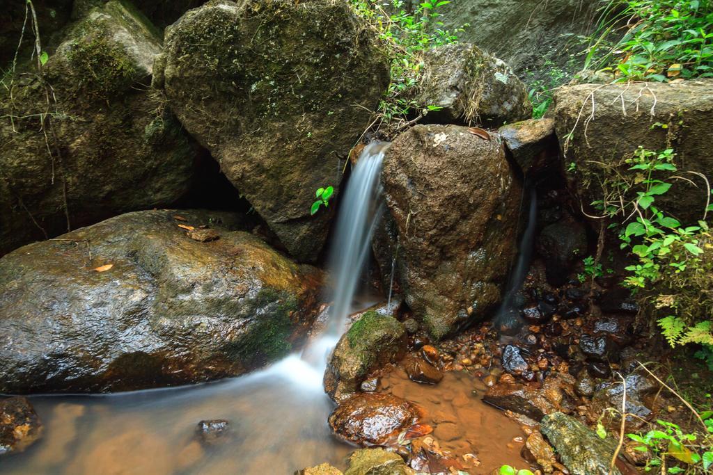 Appartamento Neelakurunji Plantation Munnar Chinnakanal Esterno foto