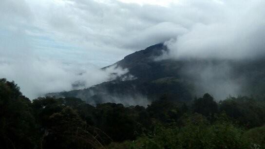 Appartamento Neelakurunji Plantation Munnar Chinnakanal Esterno foto