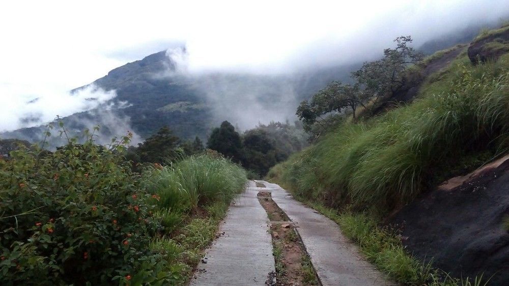 Appartamento Neelakurunji Plantation Munnar Chinnakanal Esterno foto